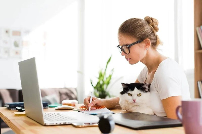 Удаленка вышла из моды? Работодатели возвращают сотрудников в офисы