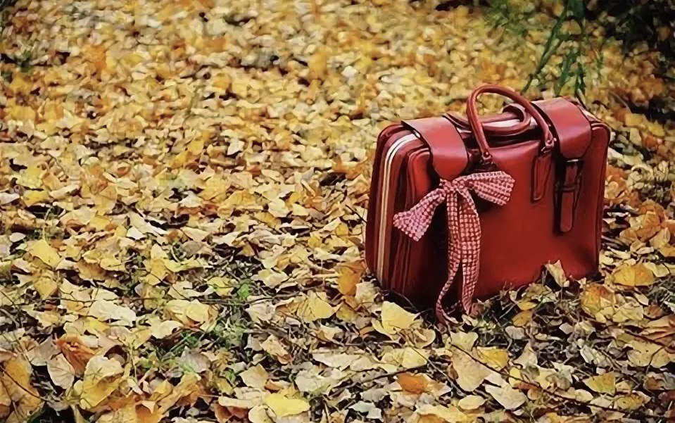 Отпуск в октябре — выгодно и без потерь